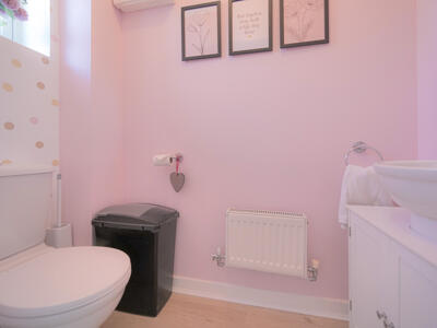 Picture 5